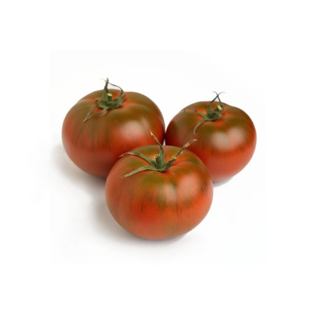 Tomate Carbonero