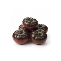 Tomate Negro de Santiago