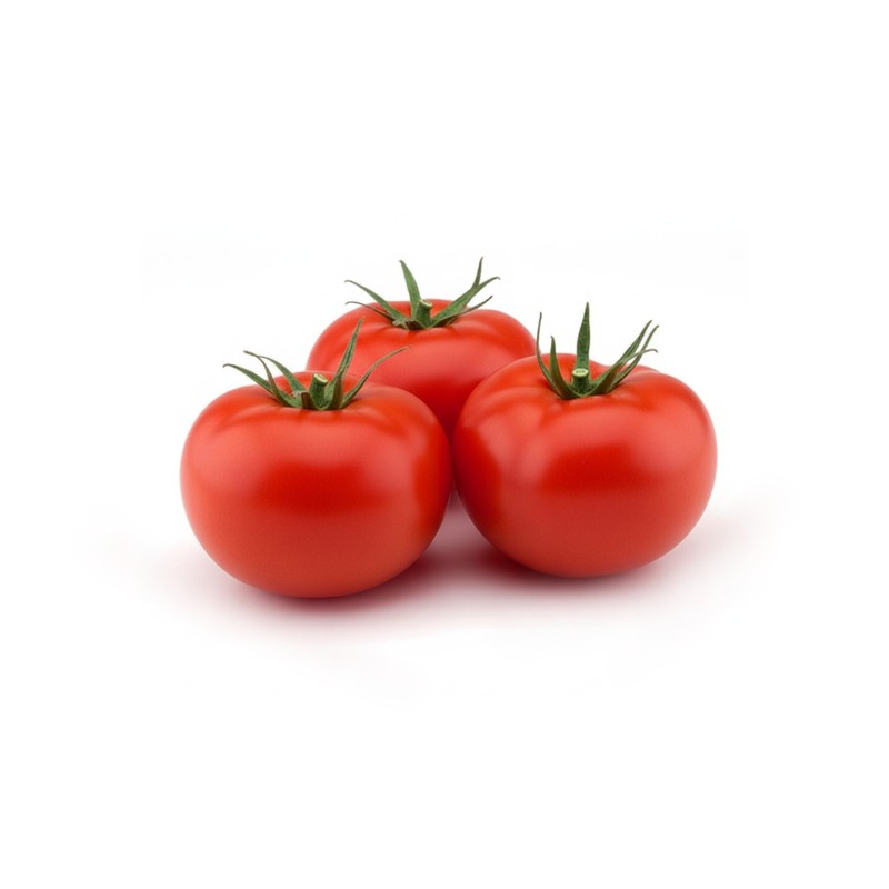 Tomate Rocasol