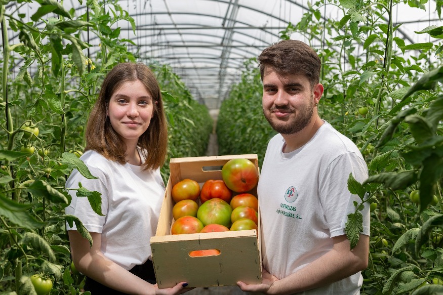 Muestra de hortalizas en invernadero